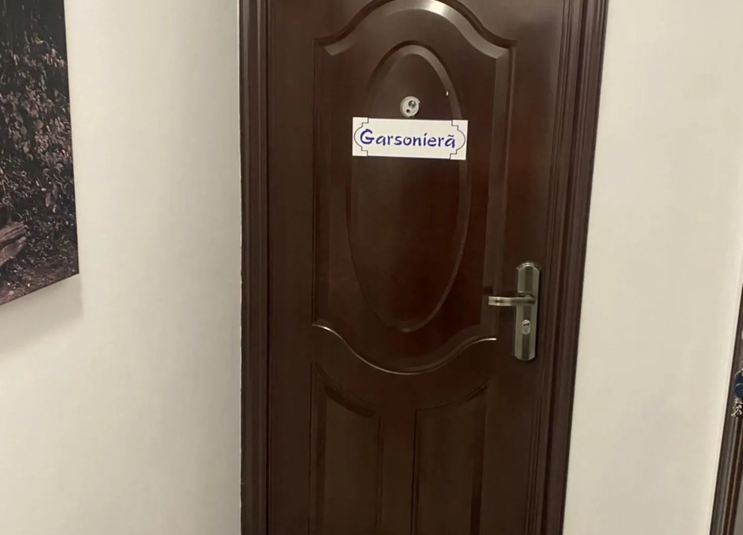 Sofi Studio Centrale Boekarest Roemenië